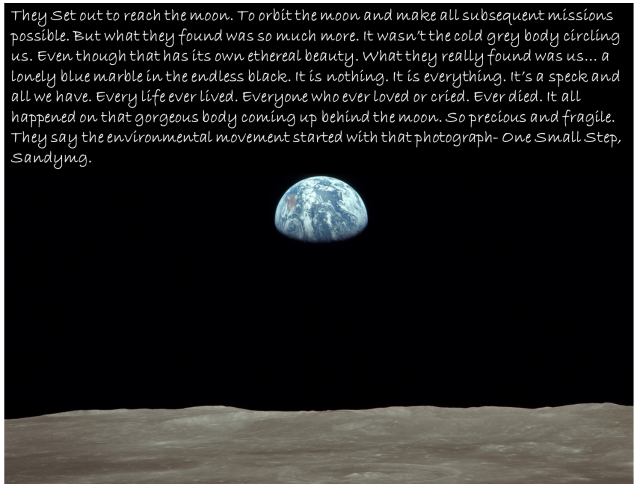 http://www.allwallpaper.in/wallpapers/1920x1080/4634/earth-moon-nasa-astronomy-earthrise-1920x1080-wallpaper.jpg 