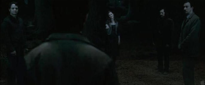 http://img3.wikia.nocookie.net/__cb20110617001715/harrypotter/images/f/ff/HPDh_2.jpg